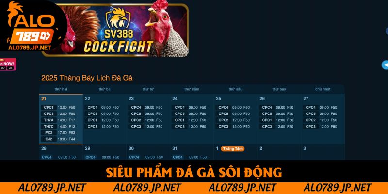 TRANG CHỦ 50 Siêu phẩm đá gà sôi động