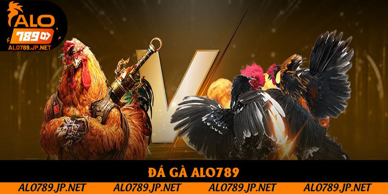 Đá Gà Alo789: Tìm Hiểu Sân Chơi Đối Kháng Hấp Dẫn Năm 2025