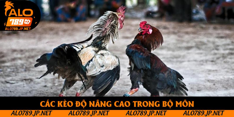 Các kèo độ nâng cao trong bộ môn