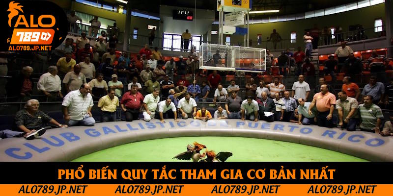 Đá Gà Trực Tiếp Thomo Hôm Nay: Những Loại Hình Đối Kháng Đỉnh Cao 3 Phổ biến quy tắc tham gia cơ bản nhất
