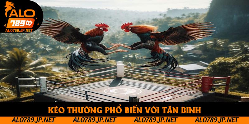 Đá Gà Trực Tiếp C1: Khám Phá Thông Tin Giải Đấu Hấp Dẫn Nhất 2025 4 Kèo thường phổ biến với tân binh