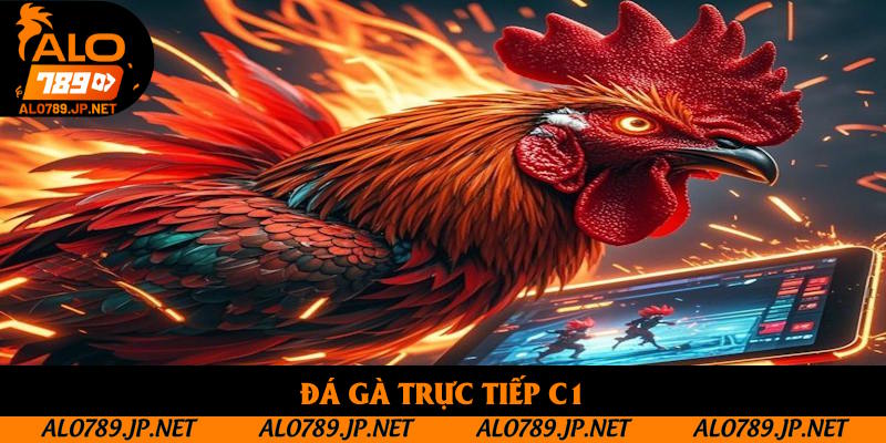 Đá Gà Trực Tiếp C1: Khám Phá Thông Tin Giải Đấu Hấp Dẫn Nhất 2025 1 Đá Gà Trực Tiếp C1: Tổng Hợp Những Kèo Cược Nhà Cái Mới Lạ